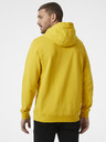 Helly Hansen Sweatshirt