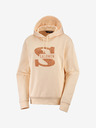 Salomon Sweatshirt