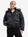 Desigual Calgary Winter jacket